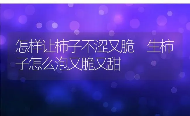 怎样让柿子不涩又脆 生柿子怎么泡又脆又甜 | 养殖资料投稿