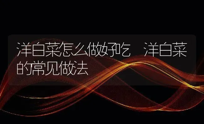 洋白菜怎么做好吃 洋白菜的常见做法 | 养殖资料投稿