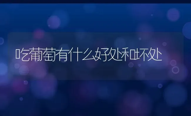 吃葡萄有什么好处和坏处 | 养殖资料投稿