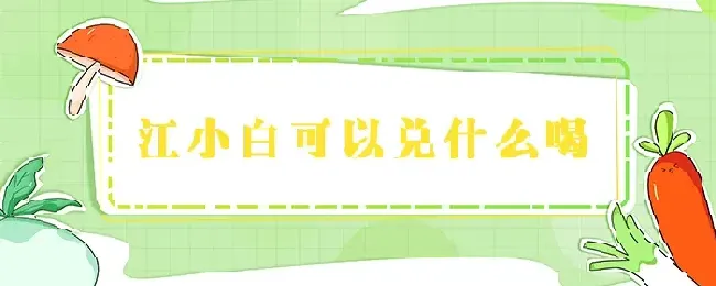 江小白可以兑什么喝