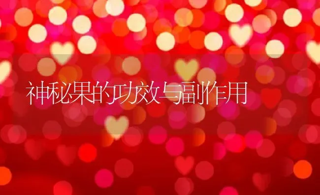 神秘果的功效与副作用 | 养殖资料投稿