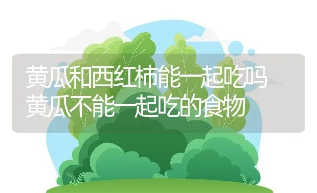 黄瓜和西红柿能一起吃吗 黄瓜不能一起吃的食物 | 养殖资料投稿