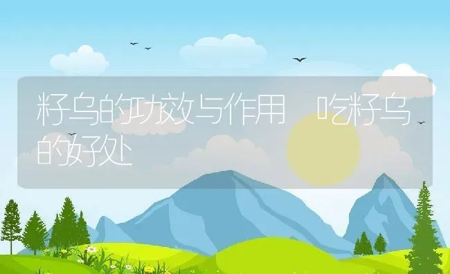籽乌的功效与作用 吃籽乌的好处 | 养殖资料投稿