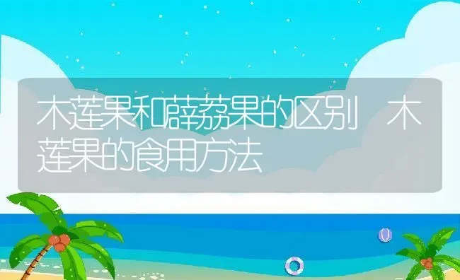 木莲果和薜荔果的区别 木莲果的食用方法 | 养殖资料投稿