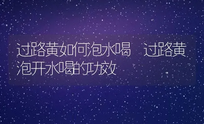 过路黄如何泡水喝 过路黄泡开水喝的功效 | 养殖资料投稿