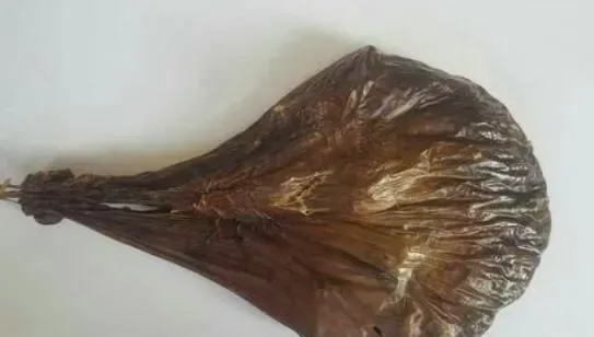 鹿胎有什么功效和作用