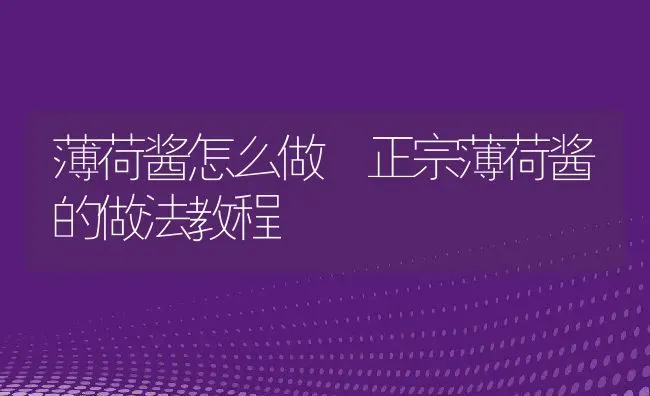 薄荷酱怎么做 正宗薄荷酱的做法教程 | 养殖资料投稿