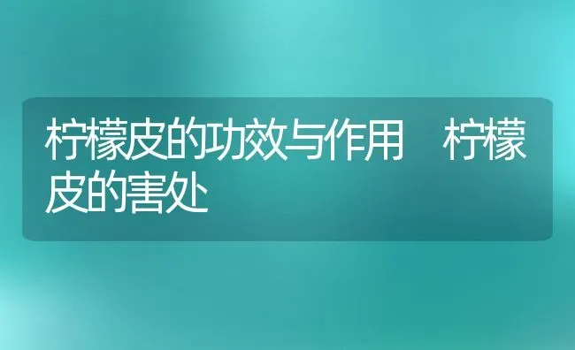 柠檬皮的功效与作用 柠檬皮的害处 | 养殖资料投稿