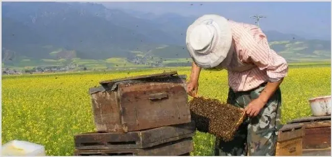 多少亩地能成立合作社，开合作社需要多少资金 | 农业养殖资讯