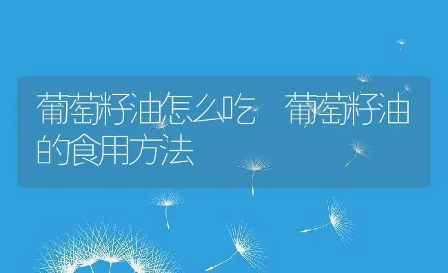 葡萄籽油怎么吃 葡萄籽油的食用方法 | 养殖资料投稿