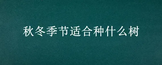 秋冬季节适合种什么树