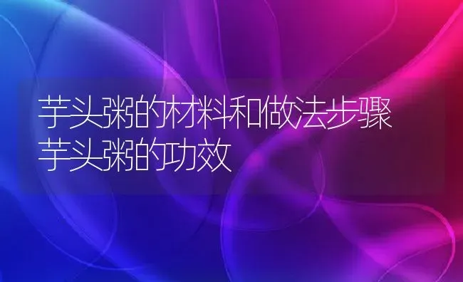 芋头粥的材料和做法步骤 芋头粥的功效 | 养殖资讯