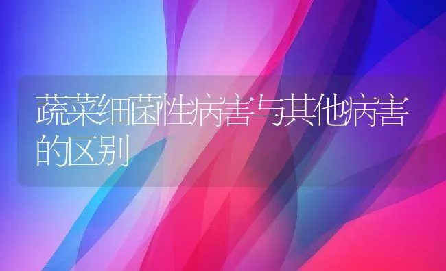 蜂花粉的作用与功效 吃蜂花粉的好处 | 养殖资料投稿