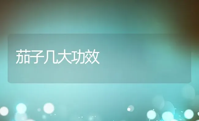 茄子几大功效 | 养殖资料投稿