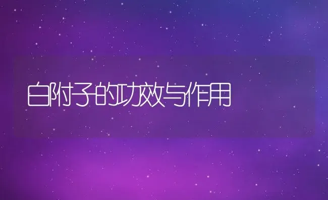 青豆怎么做好吃 | 养殖资料投稿