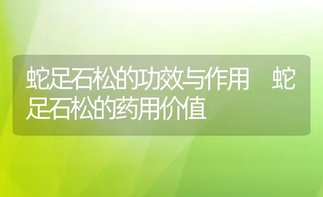 蛇足石松的功效与作用 蛇足石松的药用价值 | 养殖资料投稿