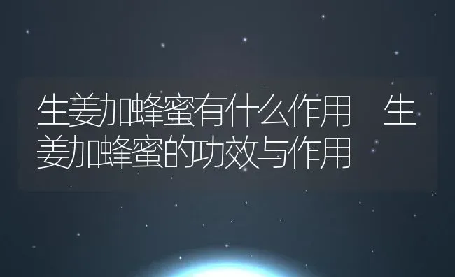 生姜加蜂蜜有什么作用 生姜加蜂蜜的功效与作用 | 养殖资料投稿