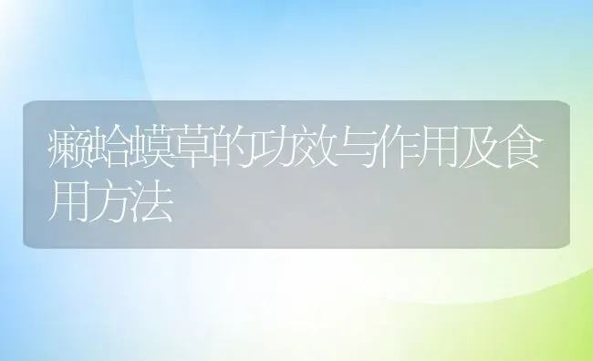 癞蛤蟆草的功效与作用及食用方法 | 养殖资料投稿