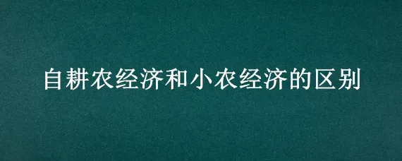 自耕农经济和小农经济的区别