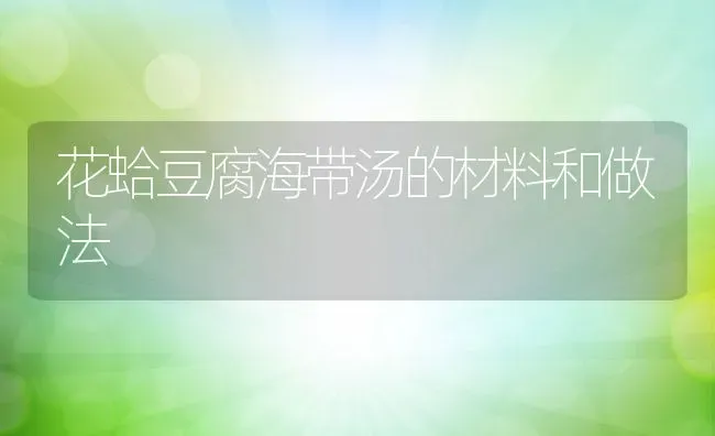 花蛤豆腐海带汤的材料和做法 | 养殖资料投稿