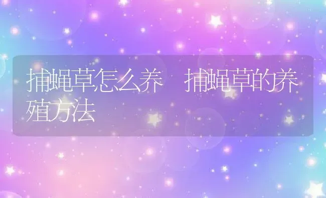 捕蝇草怎么养 捕蝇草的养殖方法 | 养殖资料投稿