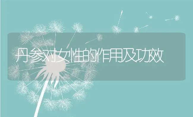 丹参对女性的作用及功效 | 养殖资料投稿