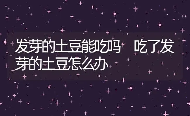 发芽的土豆能吃吗 吃了发芽的土豆怎么办 | 养殖资料投稿