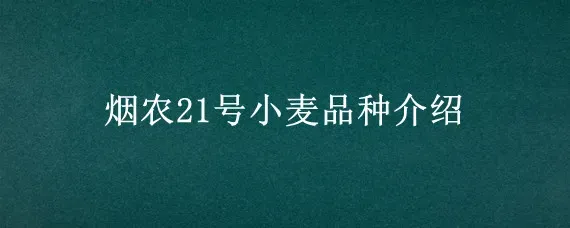 烟农21号小麦品种介绍