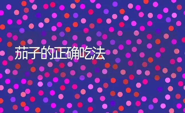 茄子的正确吃法 | 养殖资料投稿