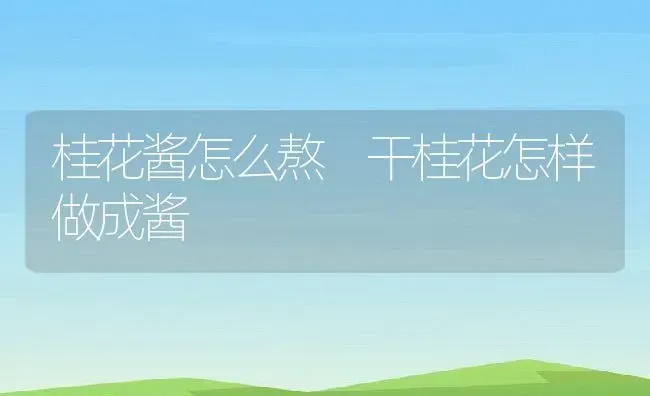 桂花酱怎么熬 干桂花怎样做成酱 | 养殖资料投稿