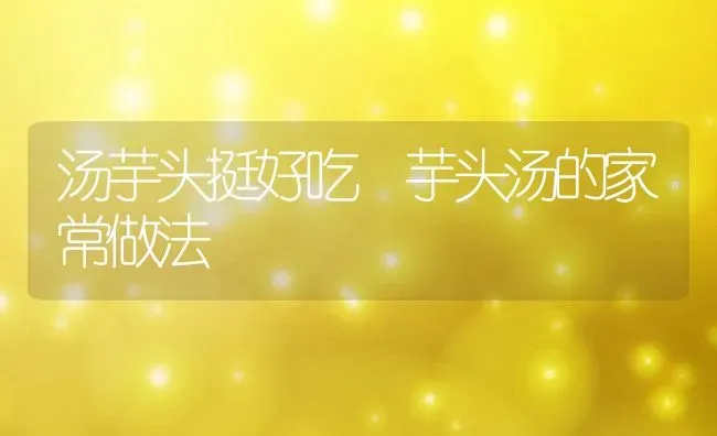 汤芋头挺好吃 芋头汤的家常做法 | 养殖资料投稿