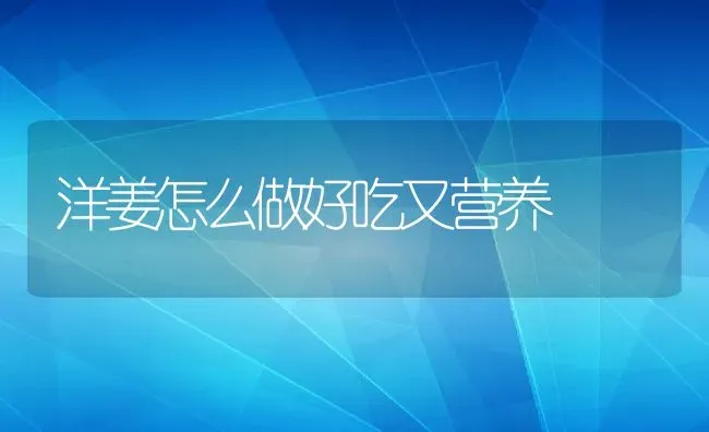 洋姜怎么做好吃又营养 | 养殖资料投稿