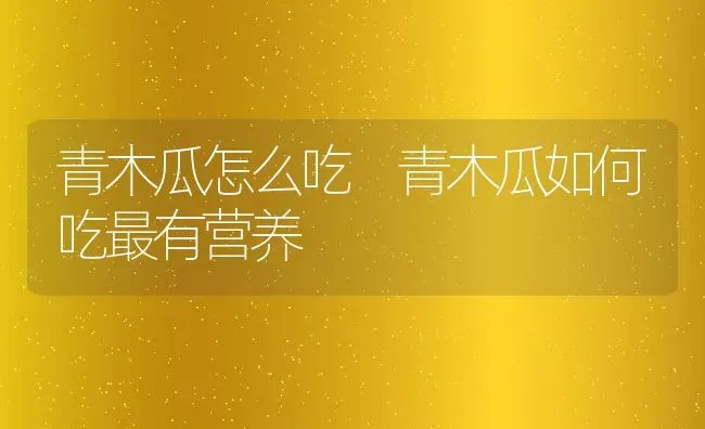 青木瓜怎么吃 青木瓜如何吃最有营养 | 养殖资料投稿