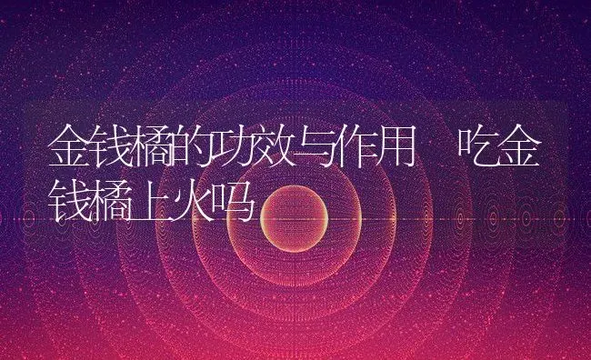 金钱橘的功效与作用 吃金钱橘上火吗 | 养殖资料投稿