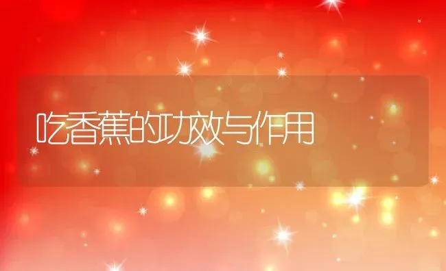 吃香蕉的功效与作用 | 养殖资料投稿