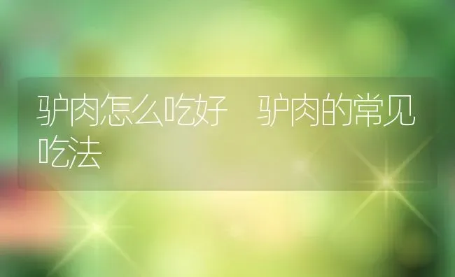 驴肉怎么吃好 驴肉的常见吃法 | 养殖资料投稿