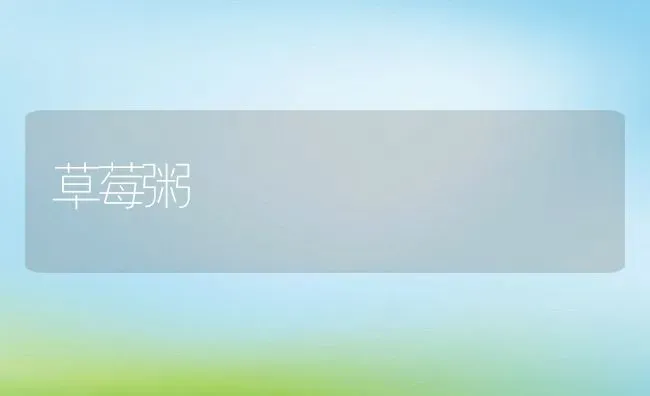 草莓粥 | 养殖资讯
