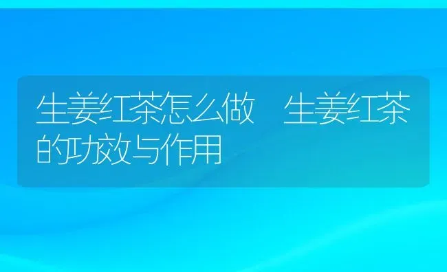 生姜红茶怎么做 生姜红茶的功效与作用 | 养殖资料投稿