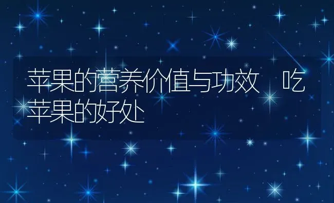 苹果的营养价值与功效 吃苹果的好处 | 养殖资料投稿