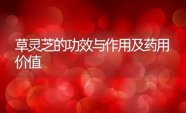 草灵芝的功效与作用及药用价值 | 养殖资料投稿