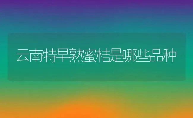 云南特早熟蜜桔是哪些品种 | 养殖资讯