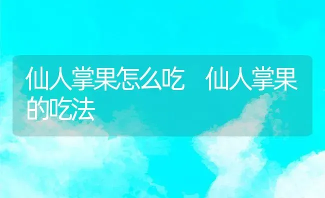 仙人掌果怎么吃 仙人掌果的吃法 | 养殖资料投稿