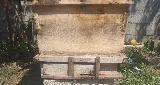 巧自制土蜂箱及注意事项