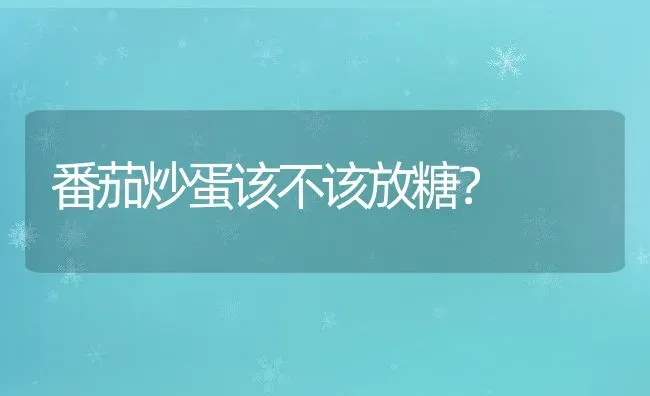 番茄炒蛋该不该放糖？ | 养殖资料投稿