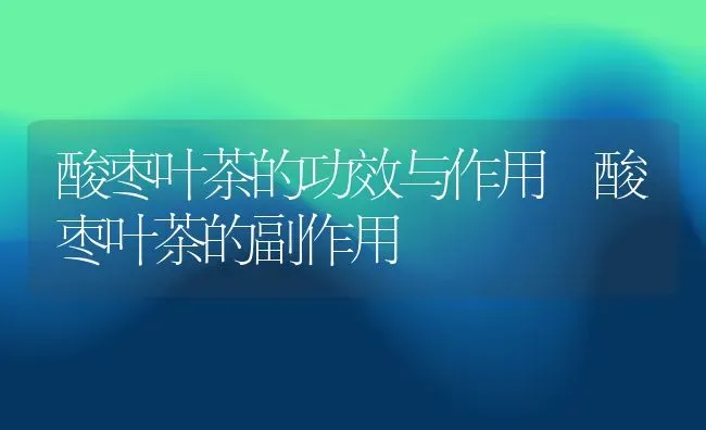 酸枣叶茶的功效与作用 酸枣叶茶的副作用 | 养殖资料投稿