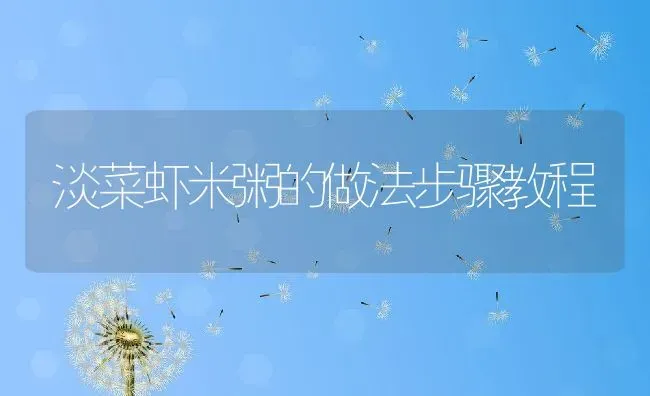 淡菜虾米粥的做法步骤教程 | 养殖资讯