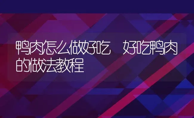 鸭肉怎么做好吃 好吃鸭肉的做法教程 | 养殖资料投稿