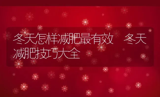 冬天怎样减肥最有效 冬天减肥技巧大全 | 养殖资料投稿