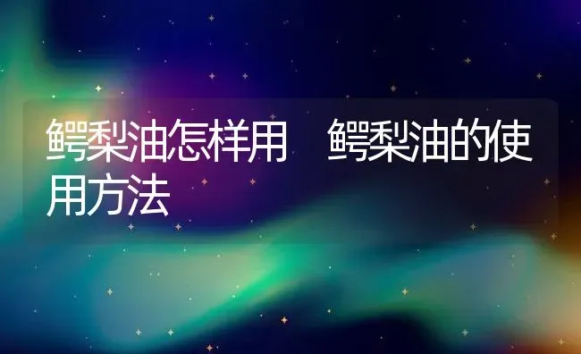 鳄梨油怎样用 鳄梨油的使用方法 | 养殖资料投稿