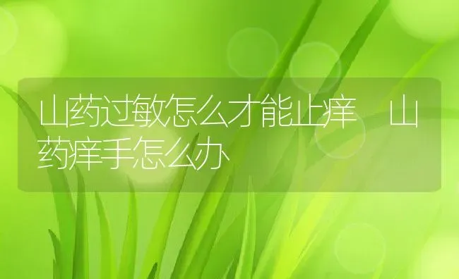 山药过敏怎么才能止痒 山药痒手怎么办 | 养殖资料投稿